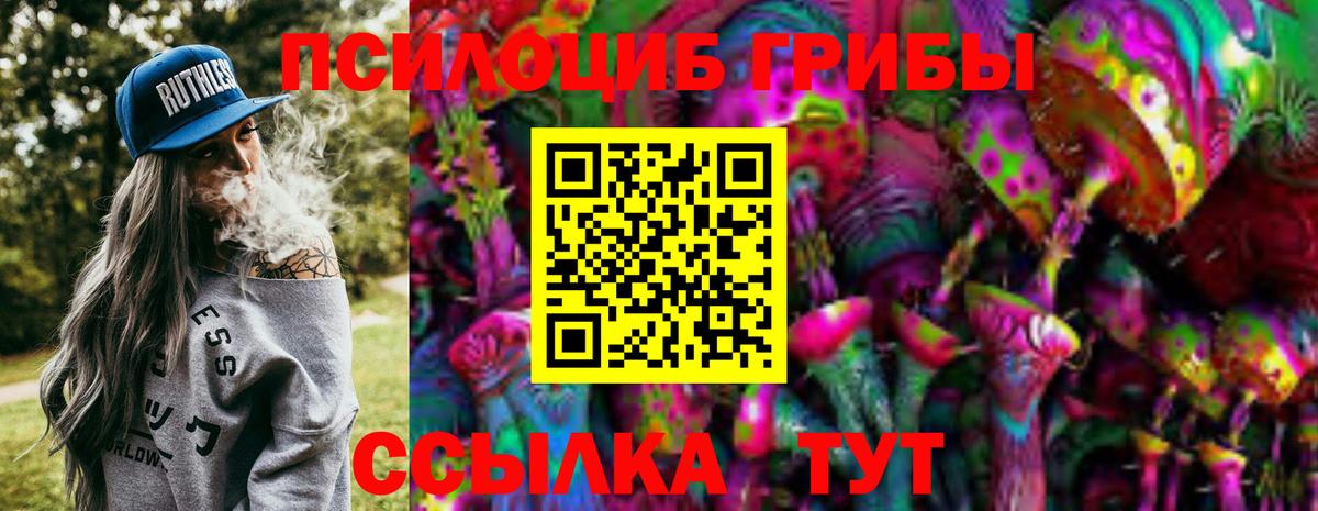 Псилоцибиновые грибы MAGIC MUSHROOMS Псков