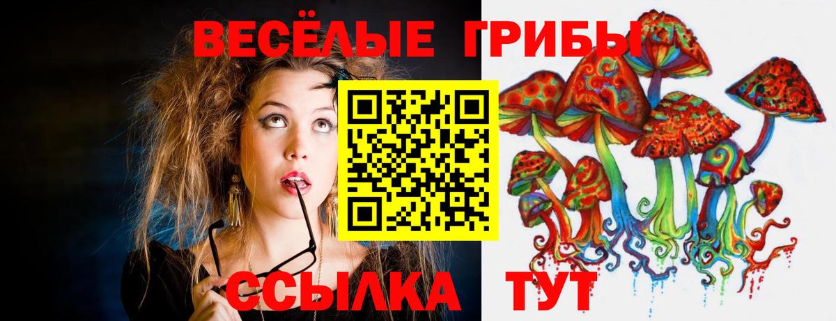 Галлюциногенные грибы ЛСД  Вход с VPN  Псков  магазин продажи   Галлюциногенные грибы мицелий 